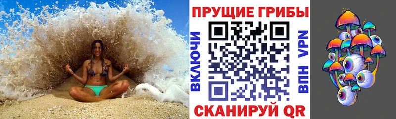 Галлюциногенные грибы прущие грибы  Сертолово 